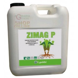 wholesale pesticides GOBBI ZIMAG P CONCIME FOSFATICO FLUIDO